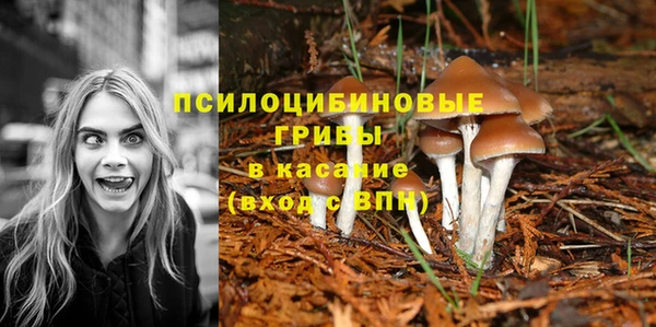 каннабис Яранск