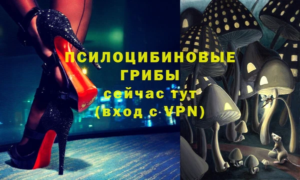 скорость Заводоуковск